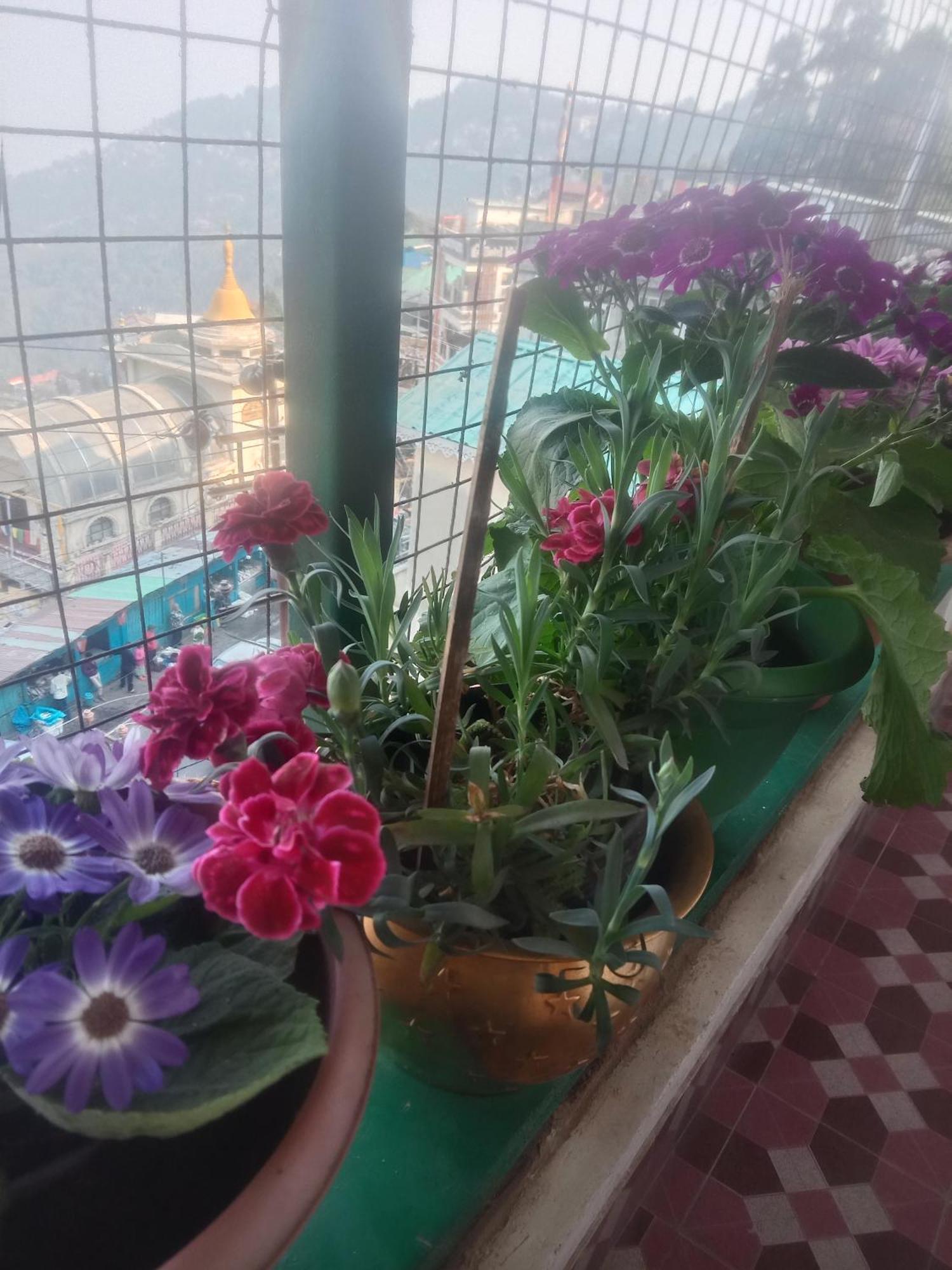 Beverly Hills Home Stay Дарджилинг Экстерьер фото