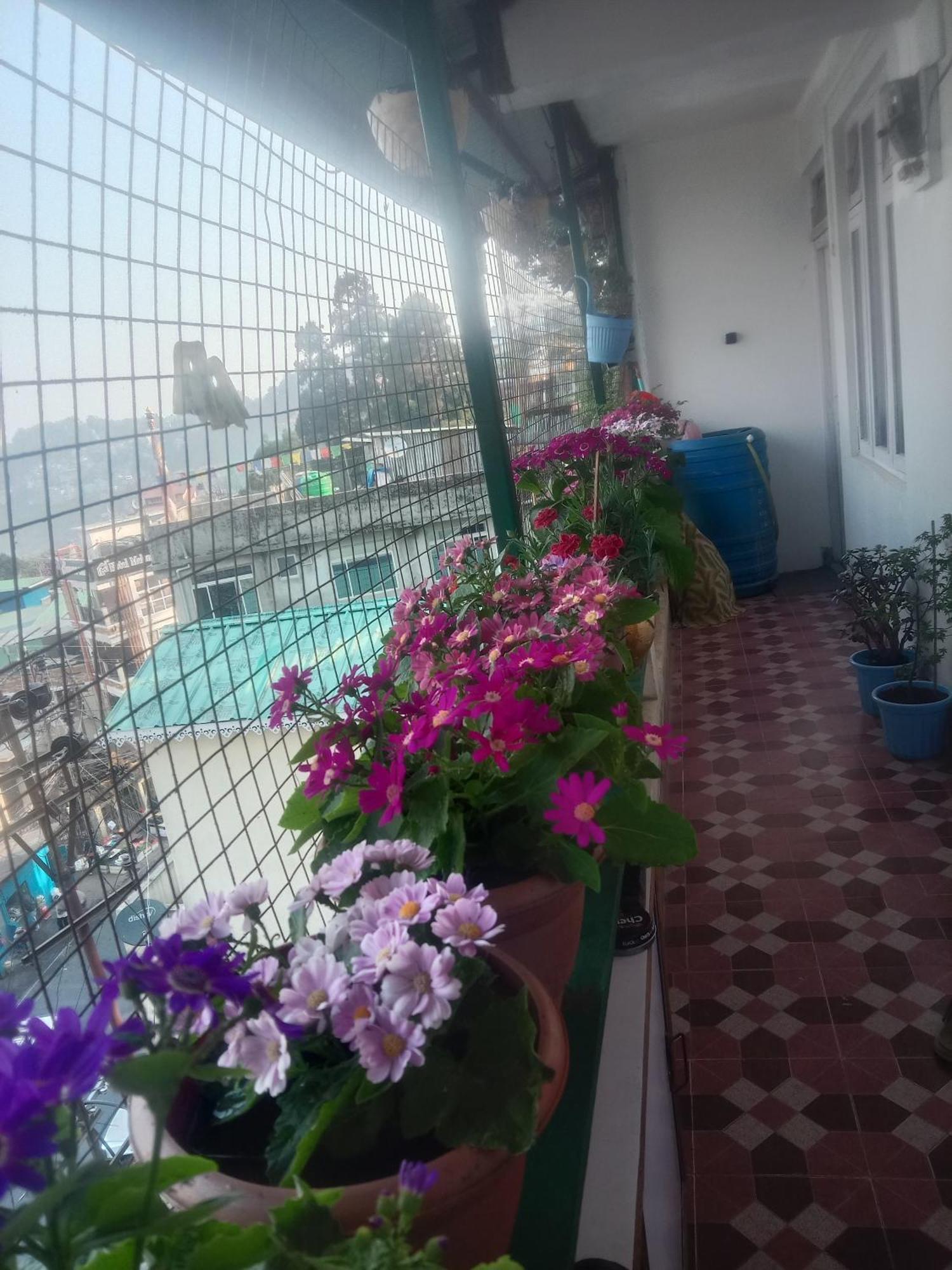 Beverly Hills Home Stay Дарджилинг Экстерьер фото